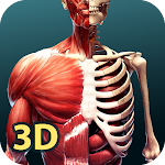 Human Anatomy 3D Apk