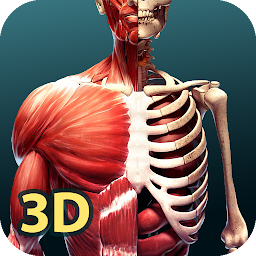 Human Anatomy 3D Mod Apk