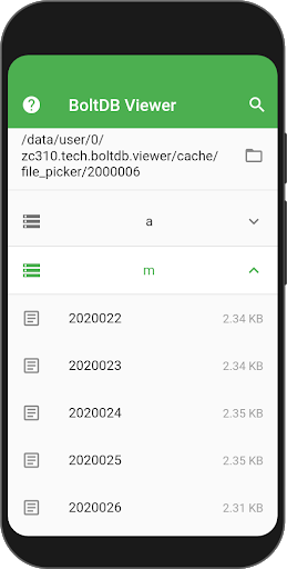 Android application BoltDB Viewer screenshort