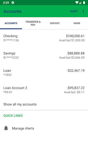 Lakeview Federal Credit Union Screen 3