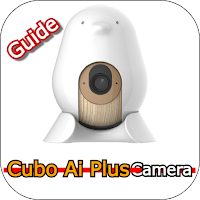 Cubo Ai Plus Camera Guide