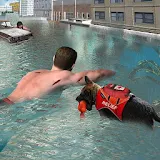 Flood Relief 911 Rescue Duty : Dog Simulator icon