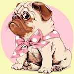 Cover Image of Download Funny Pugs Wallpapers 1.1 APK