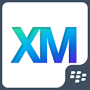 Qualtrics XM for BlackBerry  Icon