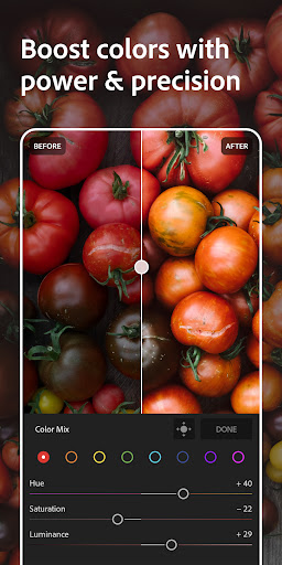 Adobe Lightroom_7