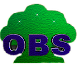 OBS TV icon