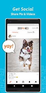 ZooPix  where Cute Pets Rule New 2022 5