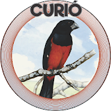 CURIÓ icon