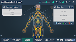 screenshot of Human body (male) 3D scene