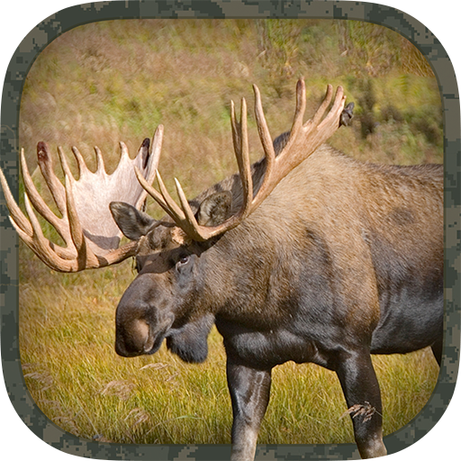 Moose Hunting Calls 2.0 Icon