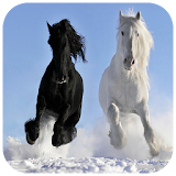 Gallop Horse Puzzles icon