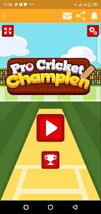 Pro Cricket Champion Game