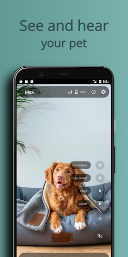 AnyPet Monitor - Cat & Dog Cam Screen 3