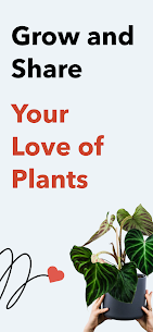 Plant Story™ Premium Apk 1
