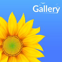 Gallery - Photos & Videos
