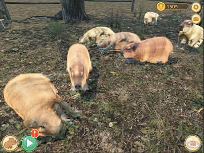 Capybara Spa 1.2.0 APK screenshots 7