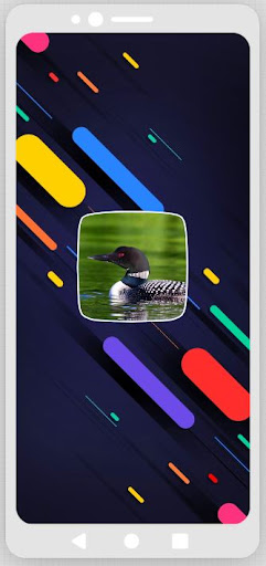 Android application Loon Sounds screenshort