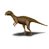 공룡백과사전 icon