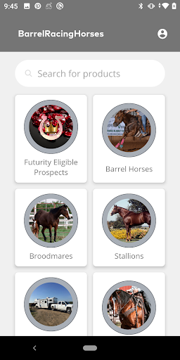 Barrel Racing Horses