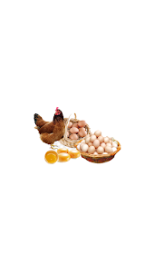 Harga Telur dan Harga Ayam