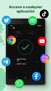 Imagen de la captura de pantalla