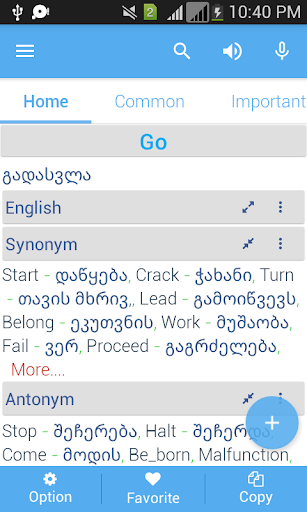Georgian Dictionary Screen 3