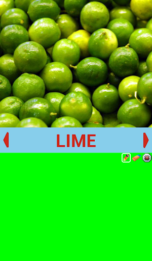 Coloroid Kids Learning Colors