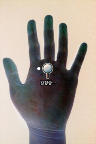 손금 진단 Screen 2