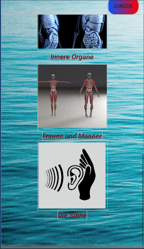 Einfach Anatomie Voll Screen 3