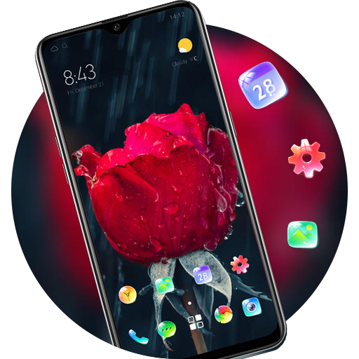 Nature Flower Theme Beautiful Red Roes Wallpaper Google Play 上的应用