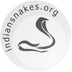 Cover Image of ダウンロード Indian Snakes 1.0.6 APK