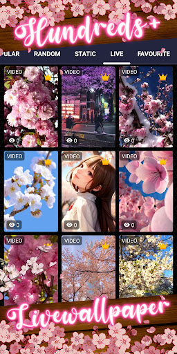 sakura wallpaper Screen 3