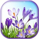 Spring Live Wallpaper App icon