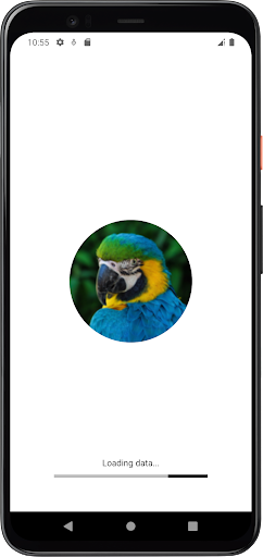 Android application Macaw Bird Sounds screenshort