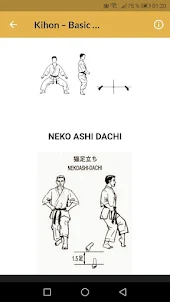 Learn shotokan karate