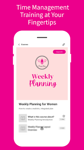 Screenshot of ThePinkBee