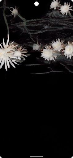 Circadian Nocturne Screen 2