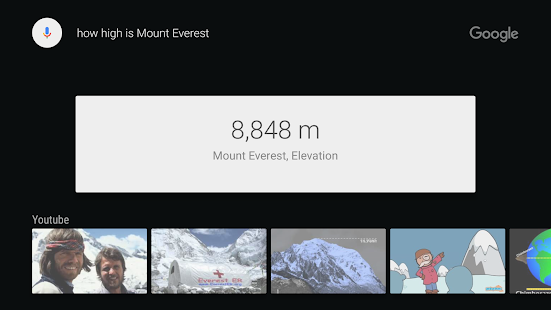 Google app for Android TV Varies with device APK screenshots 3