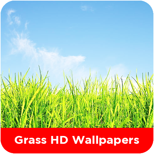 Grass HD Wallpapers Download on Windows