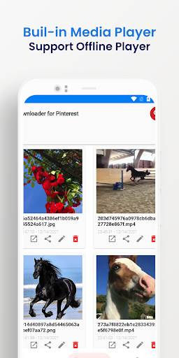 Video Downloader for Pinterest Screen 3