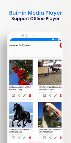 Pinterestビデオをダウンロードしてくださいのおすすめ画像3