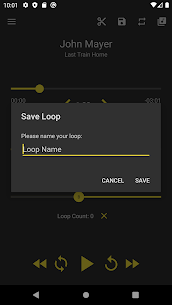 Loop Player for PC 3