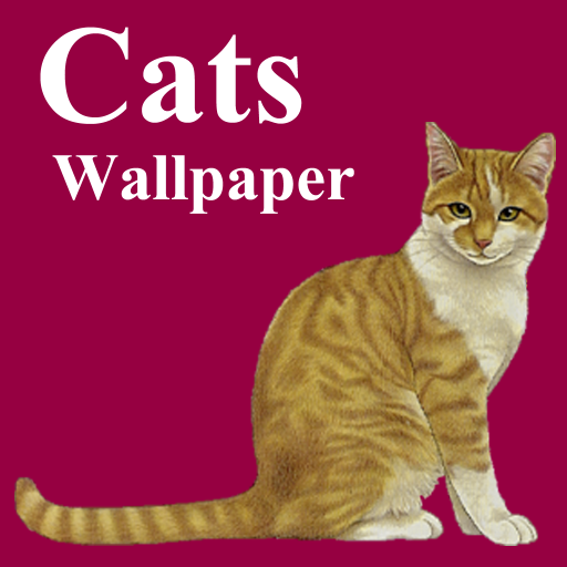 Cats Wallpaper  Icon