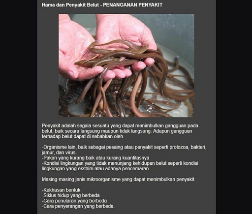 freshwater fish disease Screen 3