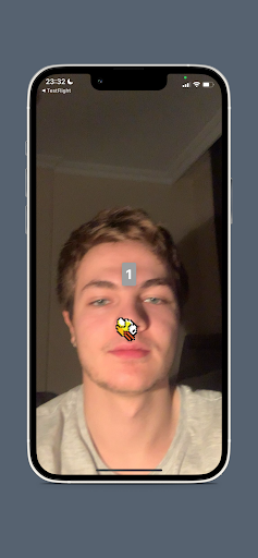 Bird Faced Screen 2