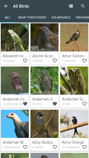 Indian Birds Screen 2