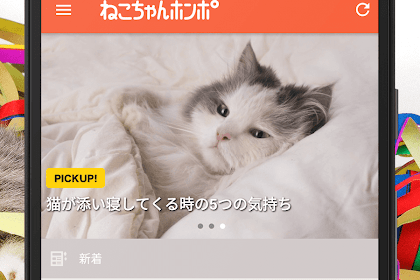 猫のニュースや飼い方の情報をまとめ読み -ねこちゃんホンポ - 外国 猫 名前