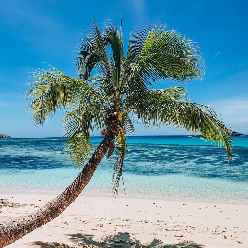 Frond Islands Sandy Beaches logo