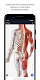 screenshot of BioDigital Human - 3D Anatomy