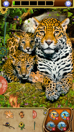 Game screenshot Hidden Object: Animal World mod apk
